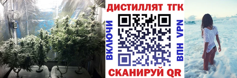ТГК THC oil  продажа наркотиков  Боровск 